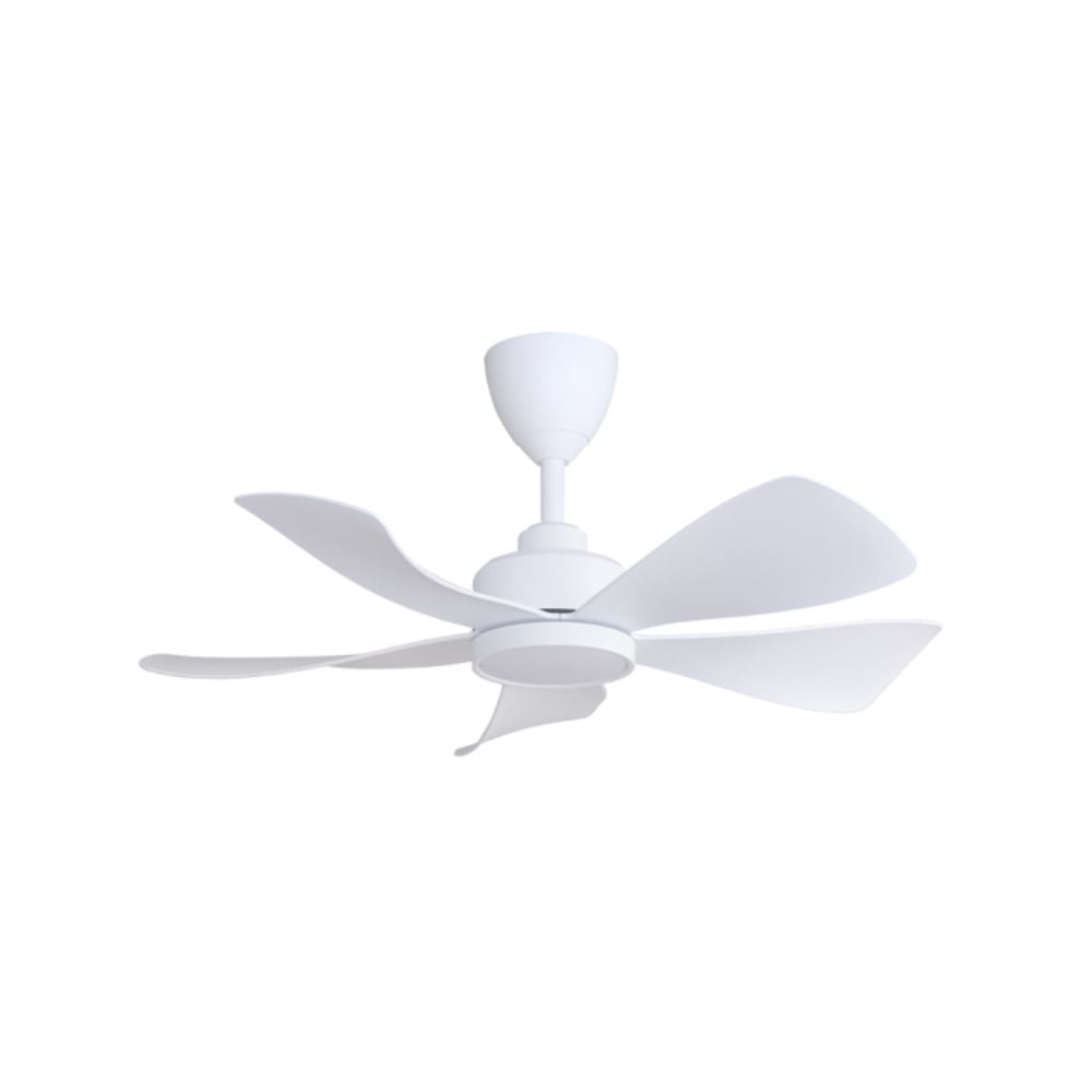 ALPHA HANI-5B 36" LED Fan | Minimalist Ceiling Fan Design | Grabit