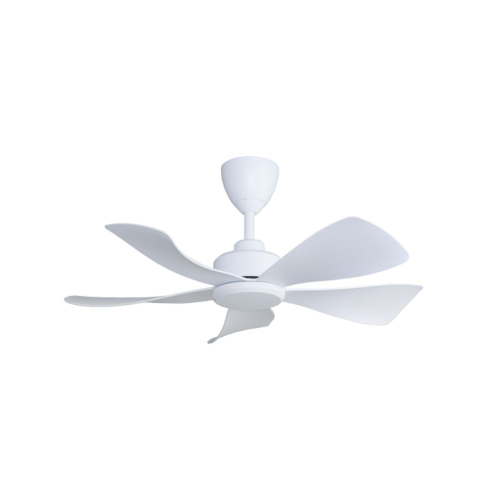 ALPHA HANI-5B 36" Fan | Minimalist Ceiling Fan Design | Grabit
