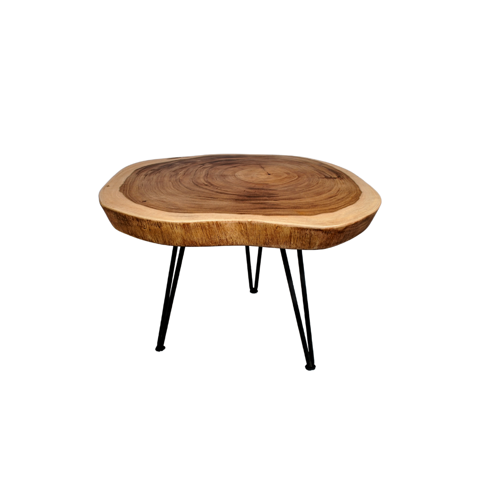 Rainforest Coffee Table | Raya Furniture Sale near me | Grabit