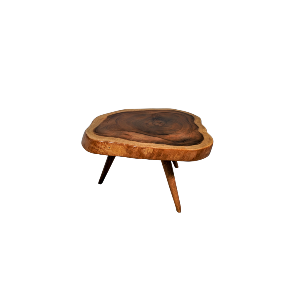 Rainforest Coffee Table | Raya Furniture Sale near me | Grabit