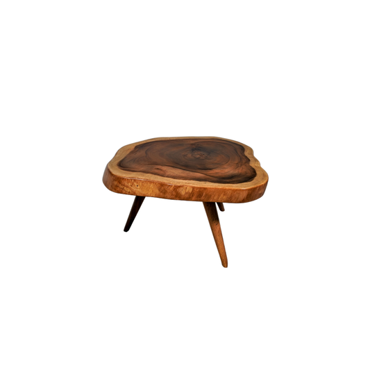 Rainforest Coffee Table | Raya Furniture Sale near me | Grabit