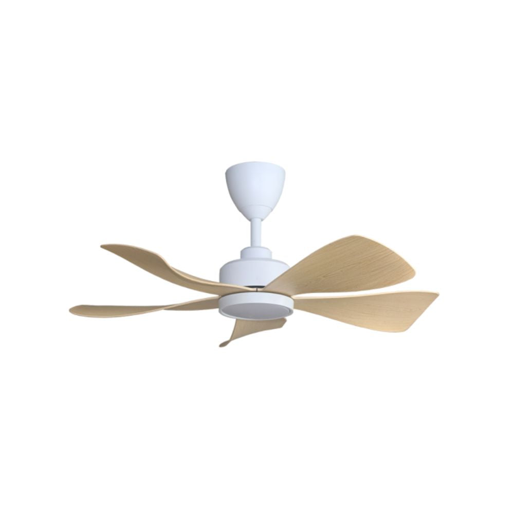 ALPHA HANI-5B 36" LED Fan | Minimalist Ceiling Fan Design | Grabit