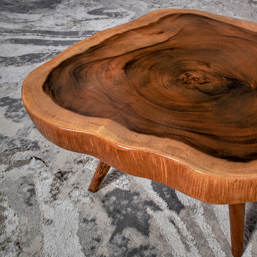 Rainforest Coffee Table